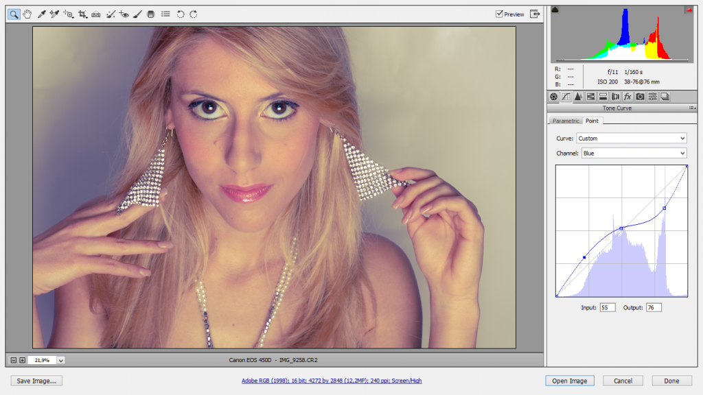 Libro corso in eBook RAW9.0 Guida completa e illustrata a Adobe® Camera Raw® screenshot curve colore Cattura di schermata (1426)