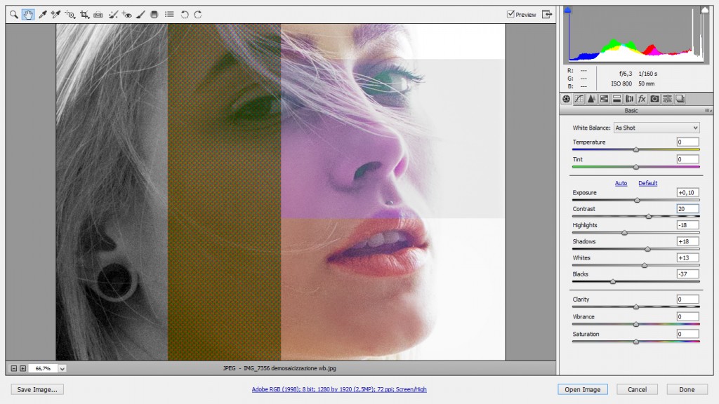 Libro corso in eBook RAW9.0 Guida completa e illustrata a Adobe® Camera Raw®