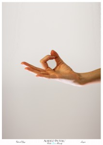 6 IMG_4461_frame legare   