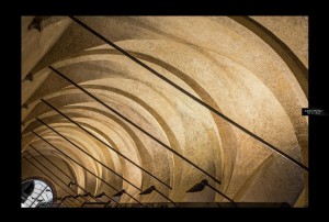 _IMG_3088 72dpi   